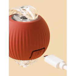 Interaktiv lege bold til katte.